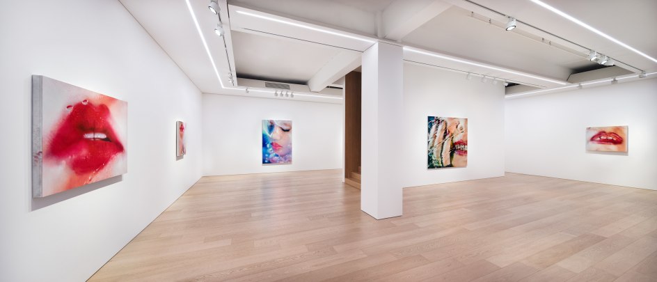 Marilyn Minter, Installation View