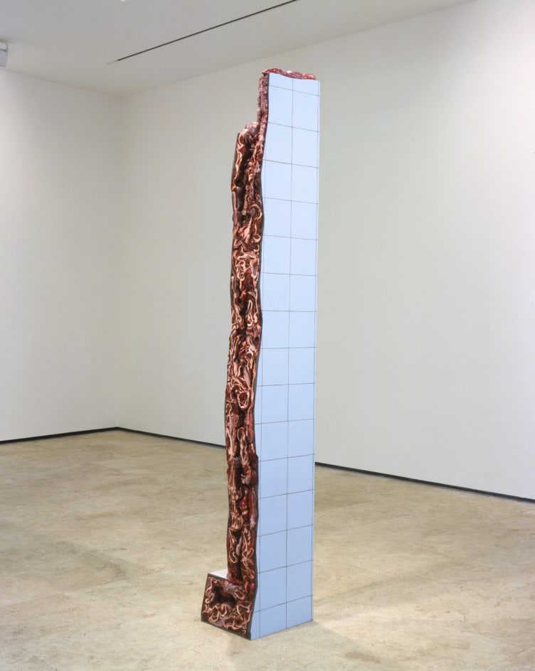 ADRIANA VAREJ&Atilde;O, Ruina de Charque - Coluna (Column Jerked-Beef Ruin), 2003