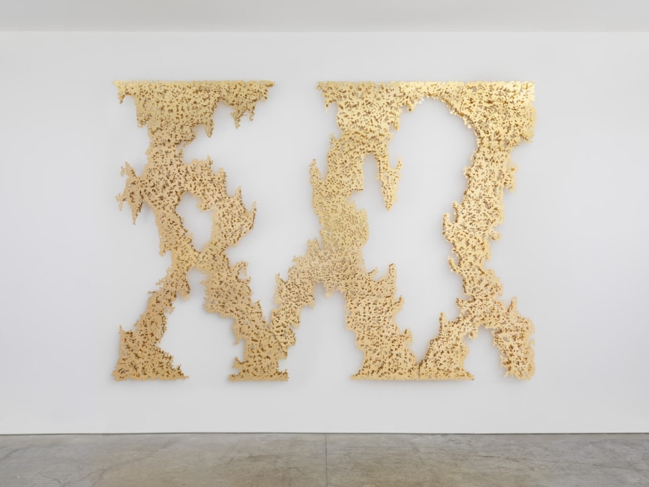 TERESITA FERN&Aacute;NDEZ Ghost Vines (Yellow Gold), 2015