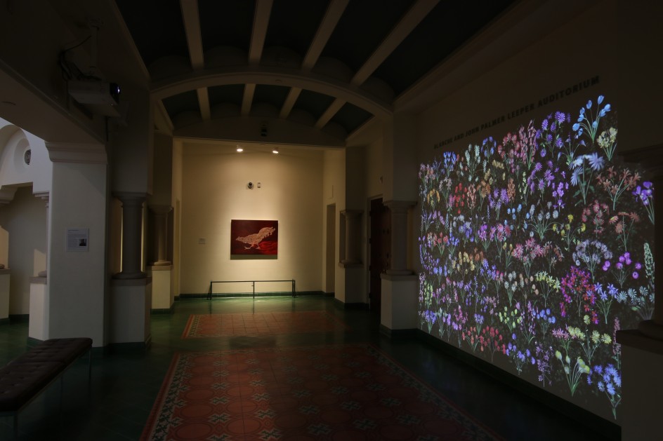 Jennifer Steinkamp: Botanic 3, Installation view,&nbsp;McNay Art Museum, San Antonio, TX