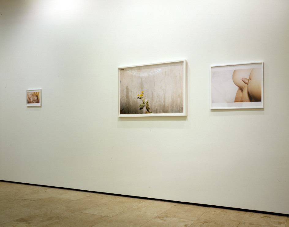 JUERGEN TELLER: N&Uuml;RNBERG Installation View 8.