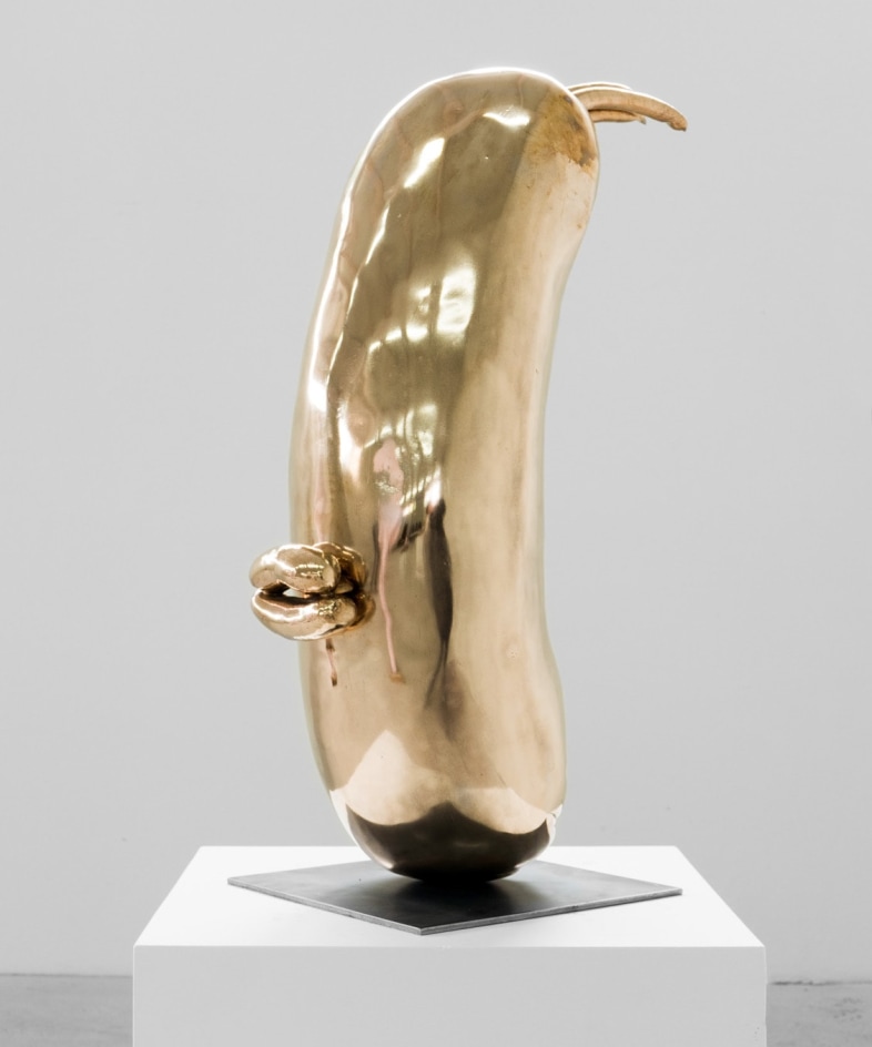 ERWIN WURM, Head (Lips), 2014