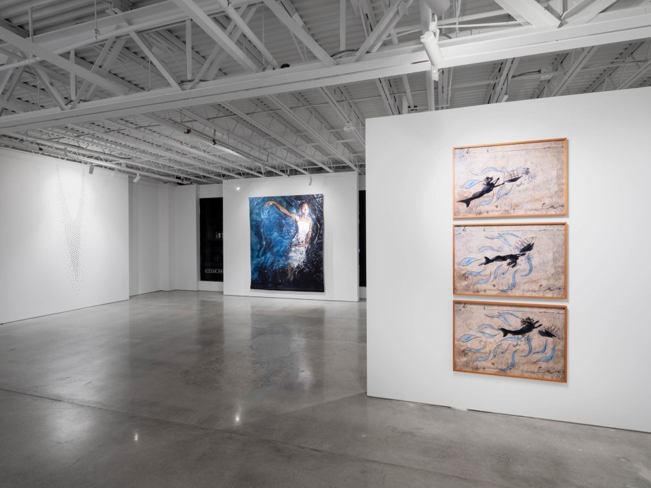 CURRENTS:&nbsp;Heidi Bucher, Dominic Chambers, Teresita Fern&aacute;ndez, Liza Lou, Marilyn Minter, Catherine Opie, Calida Rawles, and Robin Rhode, Installation view