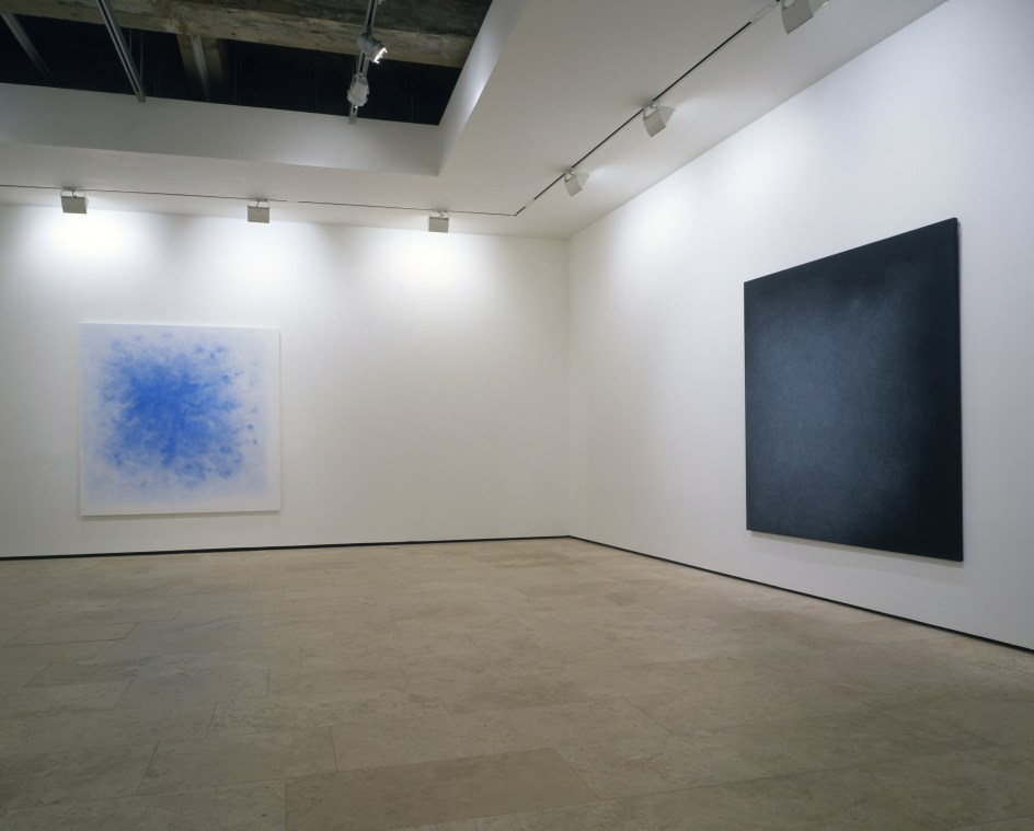 SHIRAZEH HOUSHIARY Installation View 4.