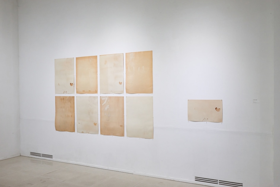 Chunk of Concept: The artistic meanderings of Sung Neung Kyung, Installation view