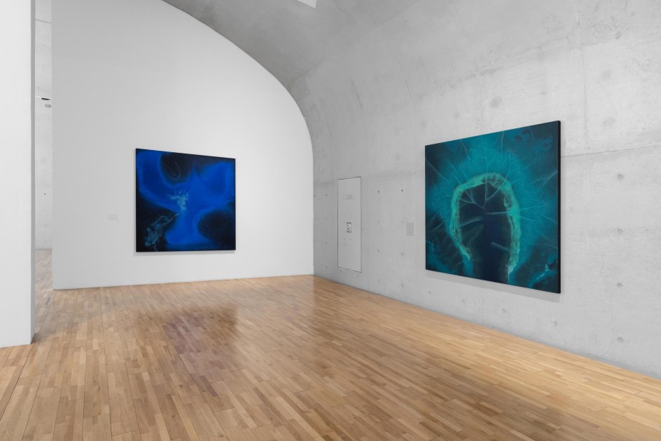 Shirazeh Houshiary: Rhizome, Installation View