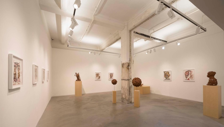 Wangechi Mutu Installation view 1