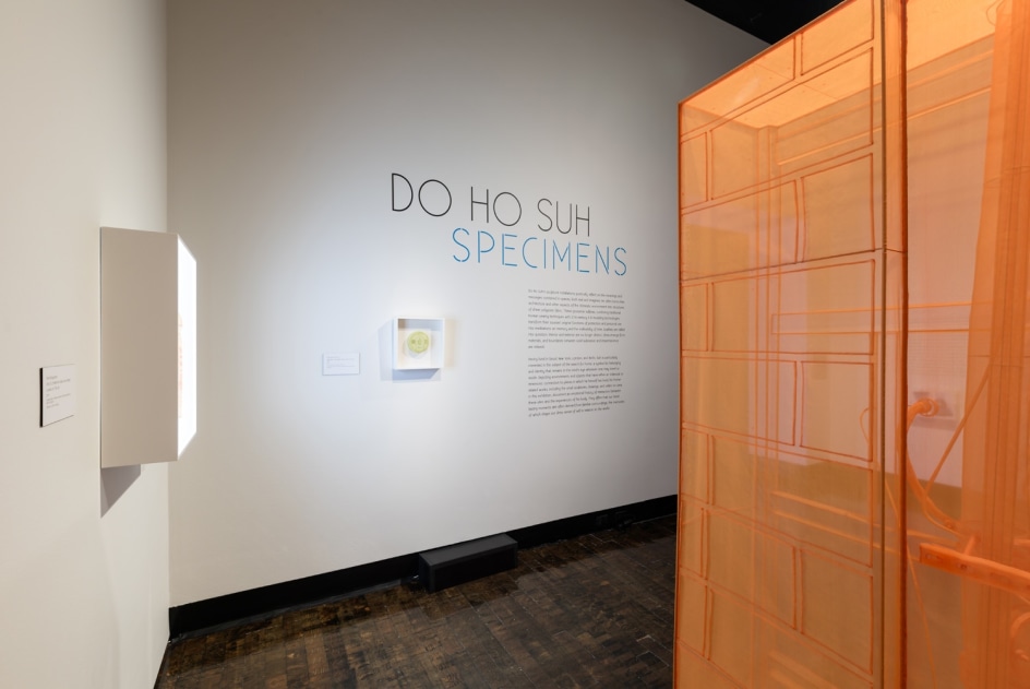 DO HO SUH, Installation view, Frist Art Museum,&nbsp;Do Ho Suh: Specimens, Oct. 12, 2018 - Jan. 6, 2019