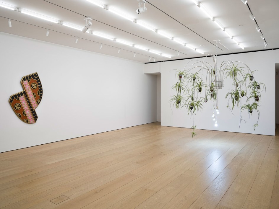 Eyes of the Skin, Installation View, New York