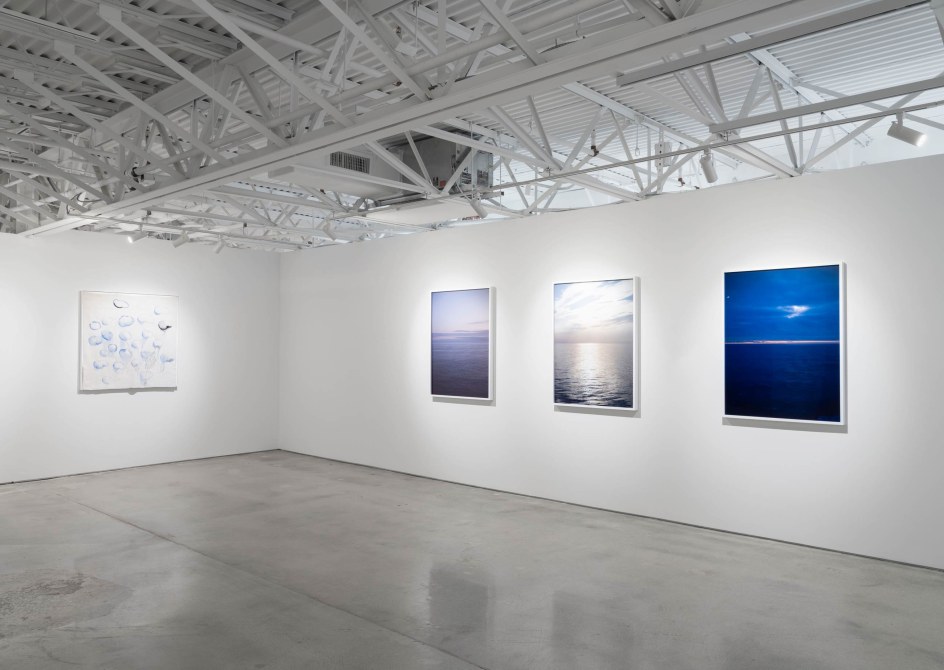 CURRENTS:&nbsp;Heidi Bucher, Dominic Chambers, Teresita Fern&aacute;ndez, Liza Lou, Marilyn Minter, Catherine Opie, Calida Rawles, and Robin Rhode, Installation view