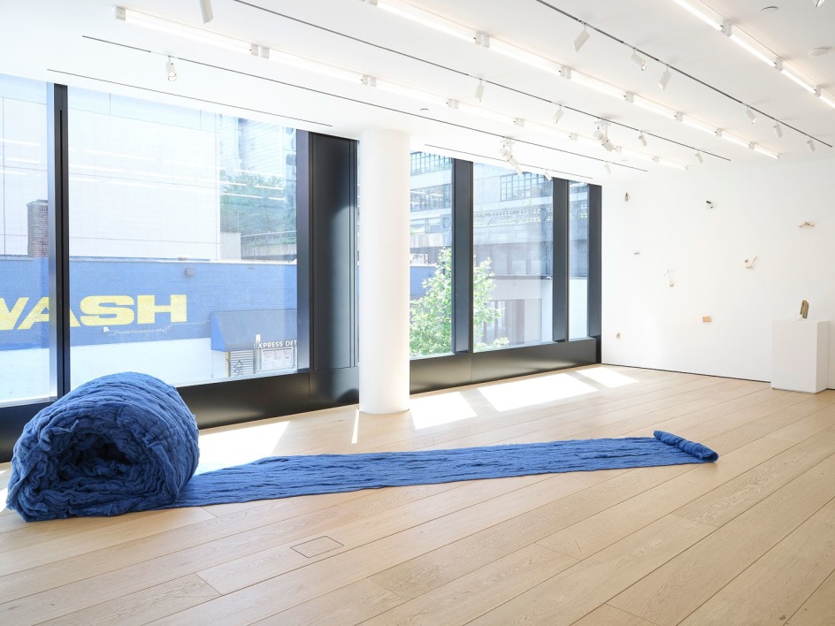 Cecilia Vicu&ntilde;a, Installation View, New York