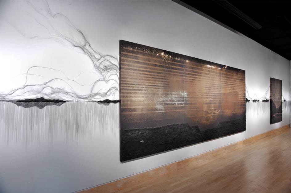 Teresita Fern&aacute;ndez: Dark Earth, Installation View