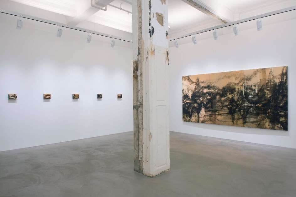 Teresita Fern&aacute;ndez Installation view 1