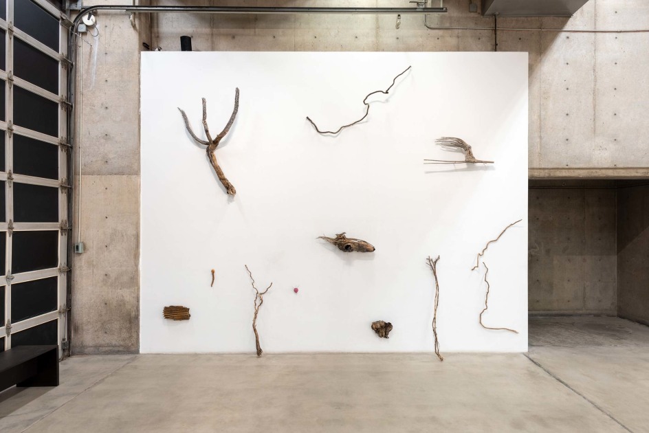 Cecilia Vicu&ntilde;a: Sonoran Quipu&nbsp;, Installation View