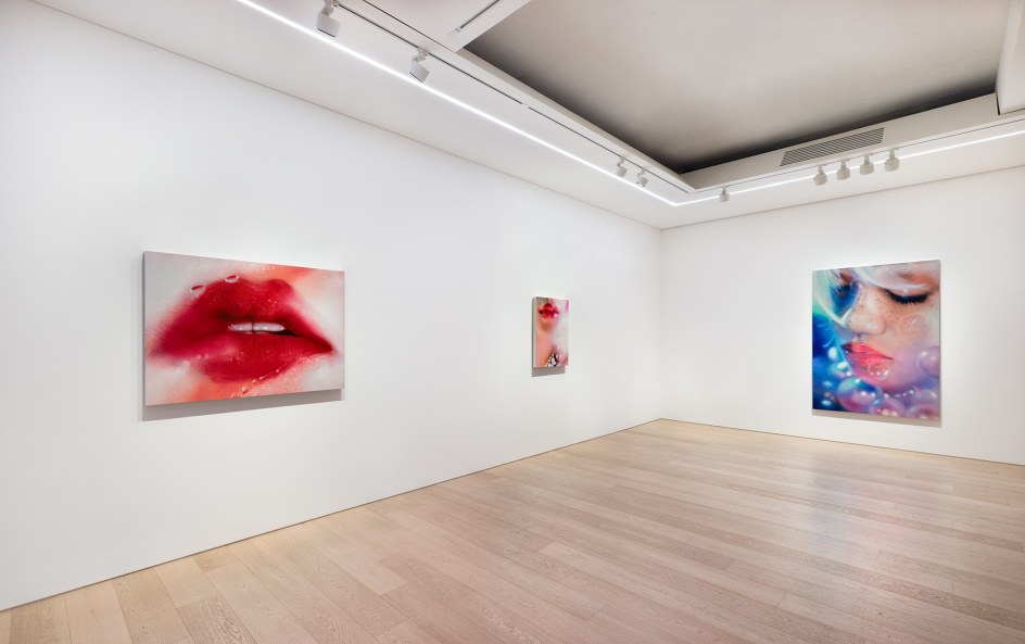 Marilyn Minter, Installation View