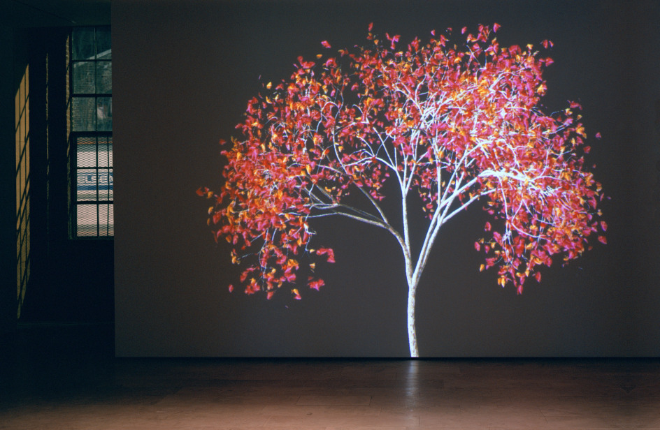 Jennifer Steinkamp: Digital Nature, Installation view,&nbsp;Telef&oacute;nica Foundation Space, Madrid, Spain