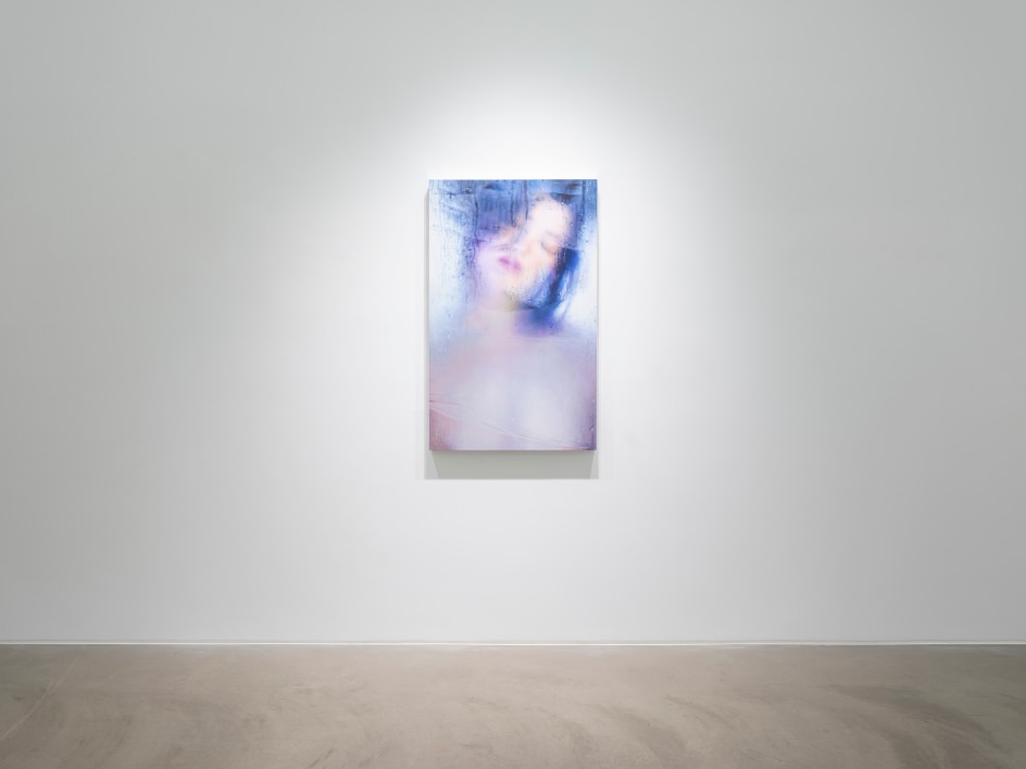 Marilyn Minter, Installation view, Lehmann Maupin, Hong Kong