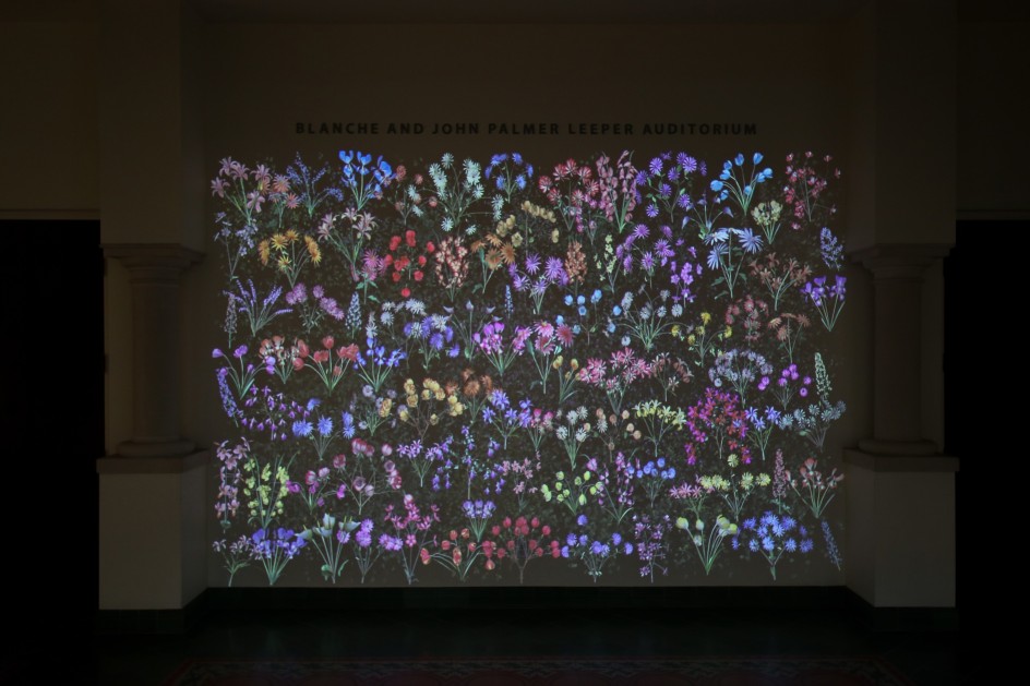 Jennifer Steinkamp: Botanic 3, Installation view,&nbsp;McNay Art Museum, San Antonio, TX