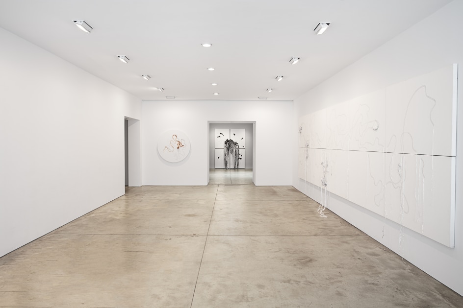 Nicholas Hlobo, Ulwamkelo installation view 1