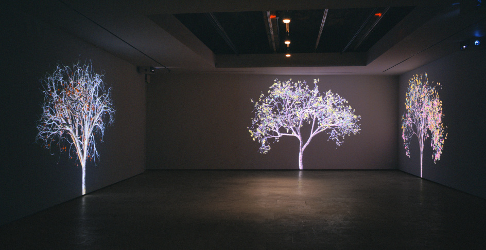 Jennifer Steinkamp: Digital Nature, Installation view,&nbsp;Telef&oacute;nica Foundation Space, Madrid, Spain