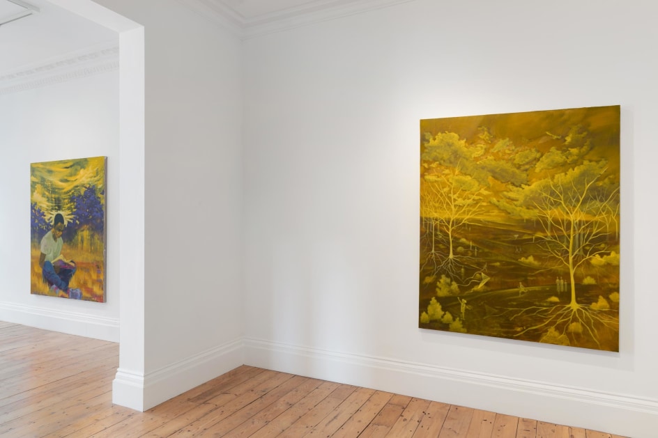 Dominic Chambers:&nbsp;Meraki, Installation View