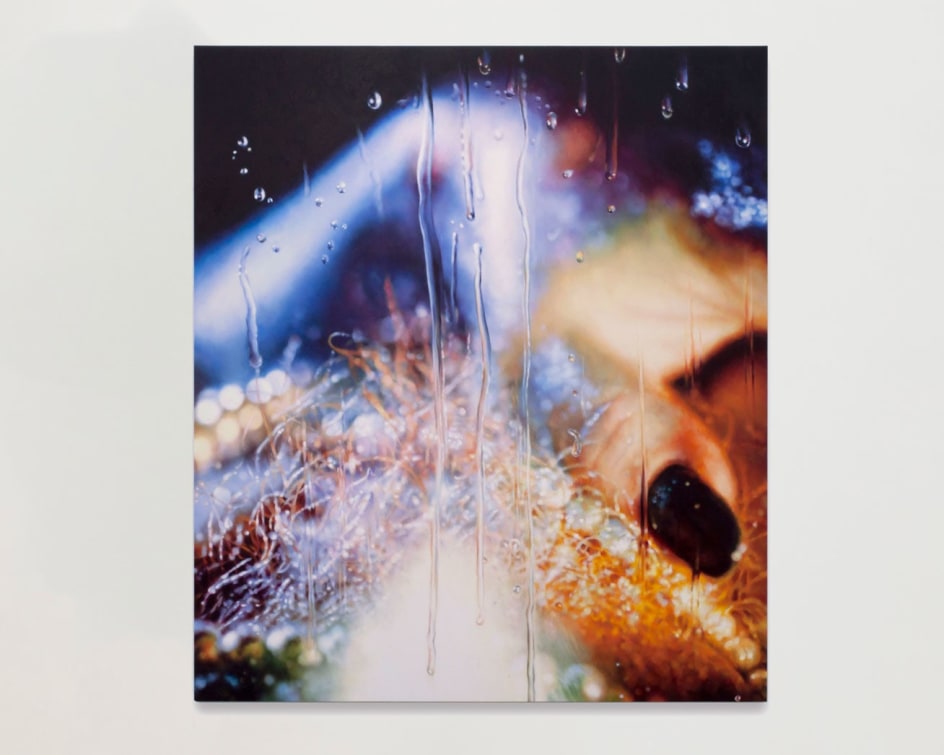 MARILYN MINTER, Burning Bush, 2013