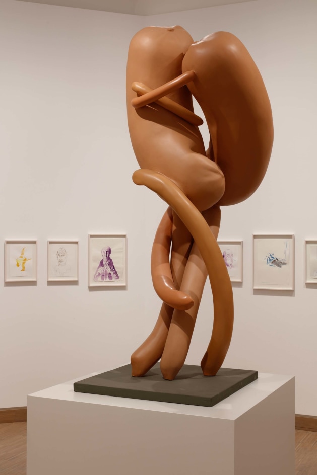 Erwin Wurm:&nbsp;A 70th Birthday Retrospective, Installation view