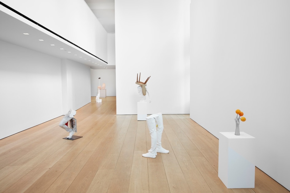Installation view of Erwin Wurm's exhibition Yes Biological at Lehmann Maupin, New York, 2020, View 1