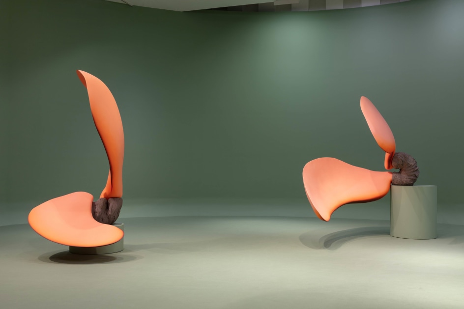 Teresa Solar Abboud: Bird Dream Machine, Installation view