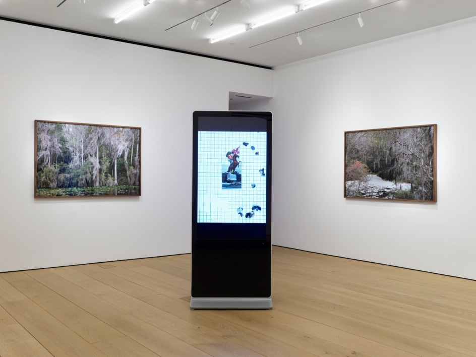 Fourth installation view of the exhibition Catherine Opie: Rhetorical Landscapes at Lehmann Maupin New York