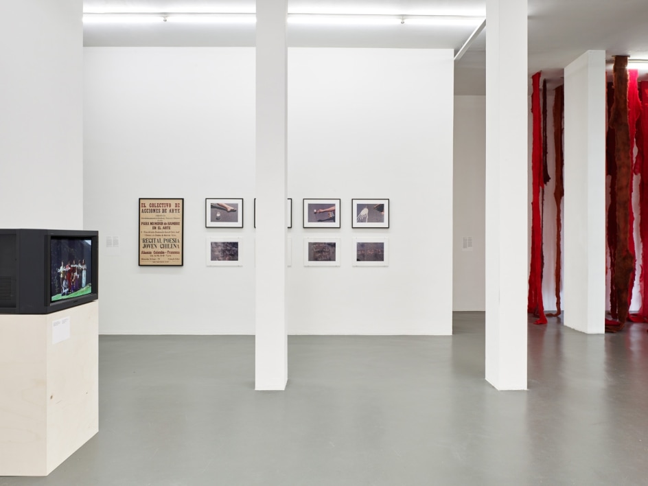 CECILIA VICU&Ntilde;A, A retrospective exhibition