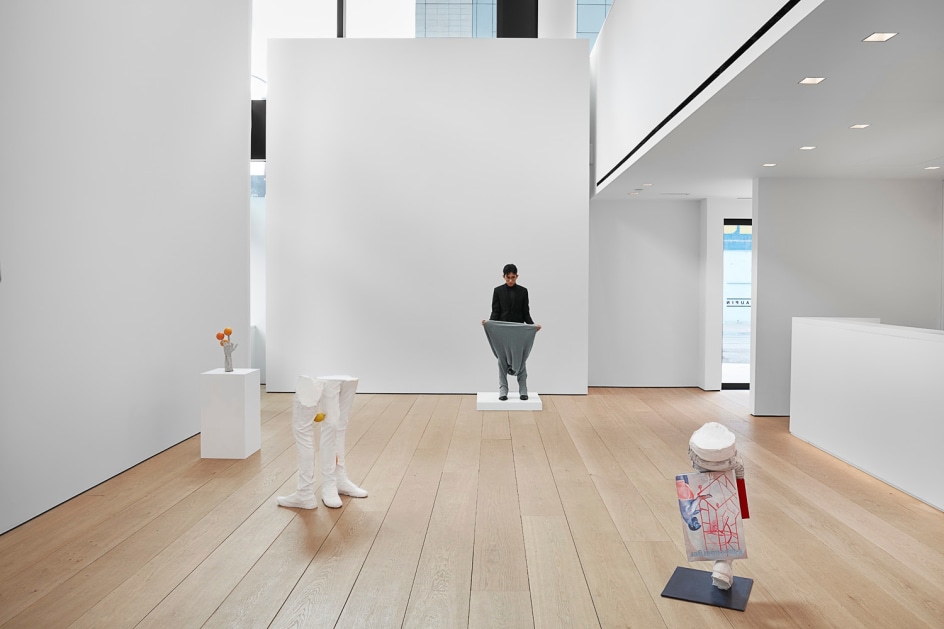 Installation view of Erwin Wurm's exhibition Yes Biological at Lehmann Maupin, New York, 2020, View 5