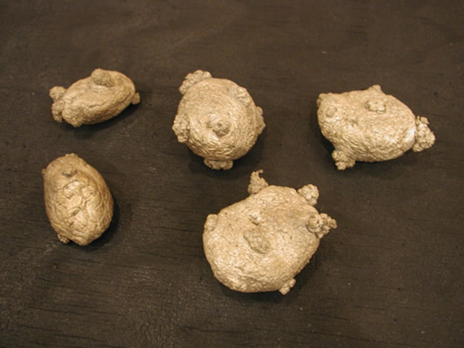 ANYA GALLACCIO, 5 potatoes- (Earth, My Likeness), 2001