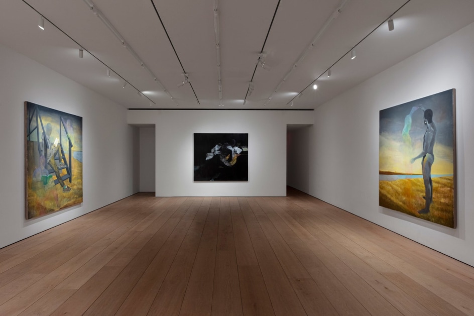 Dominic Chambers: Soft Shadows, Installation view, New York