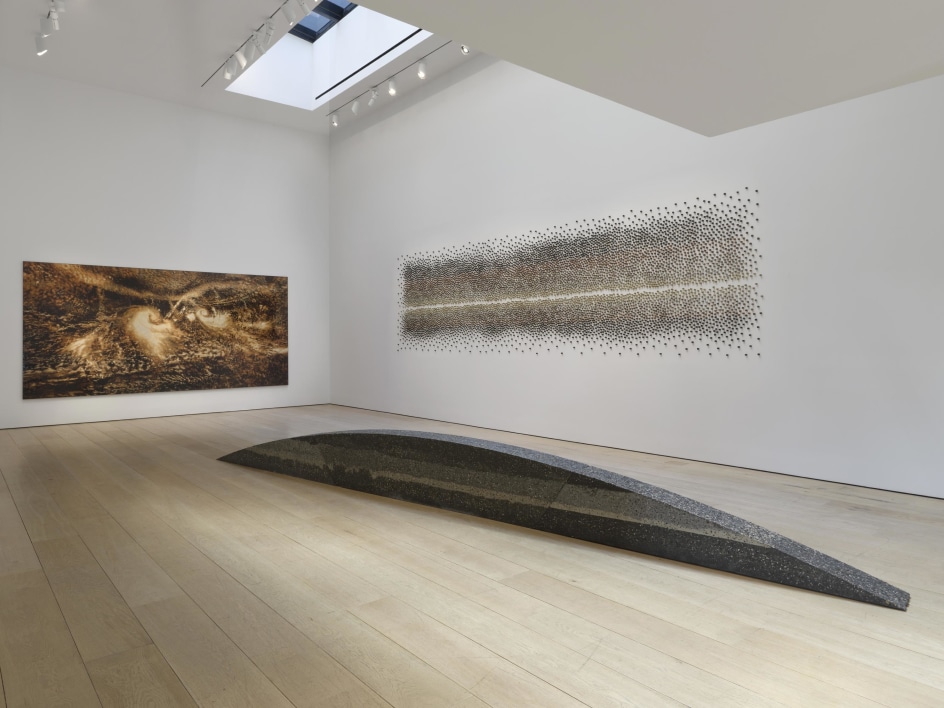 Teresita Fern&aacute;ndez:&nbsp;Soil Horizon, Installation View