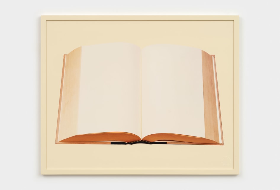 Exhibitions - Paula Cooper Gallery
