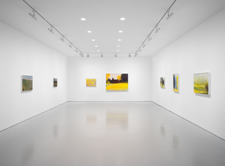 WOLF KAHN | RECEPTION AND CURATORIAL WALKTHROUGH