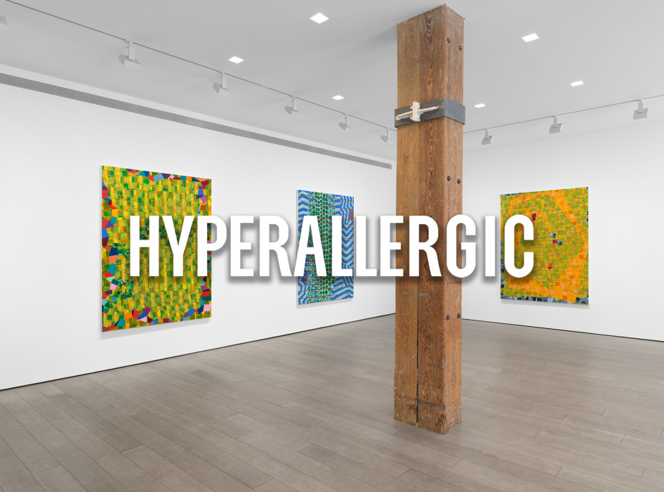 LISA CORINNE DAVIS | HYPERALLERGIC