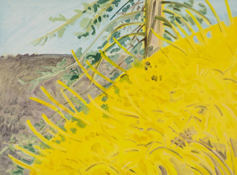 Lois Dodd