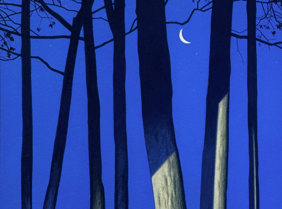 Christopher Burk: In the Trees the Night Wind Stirs