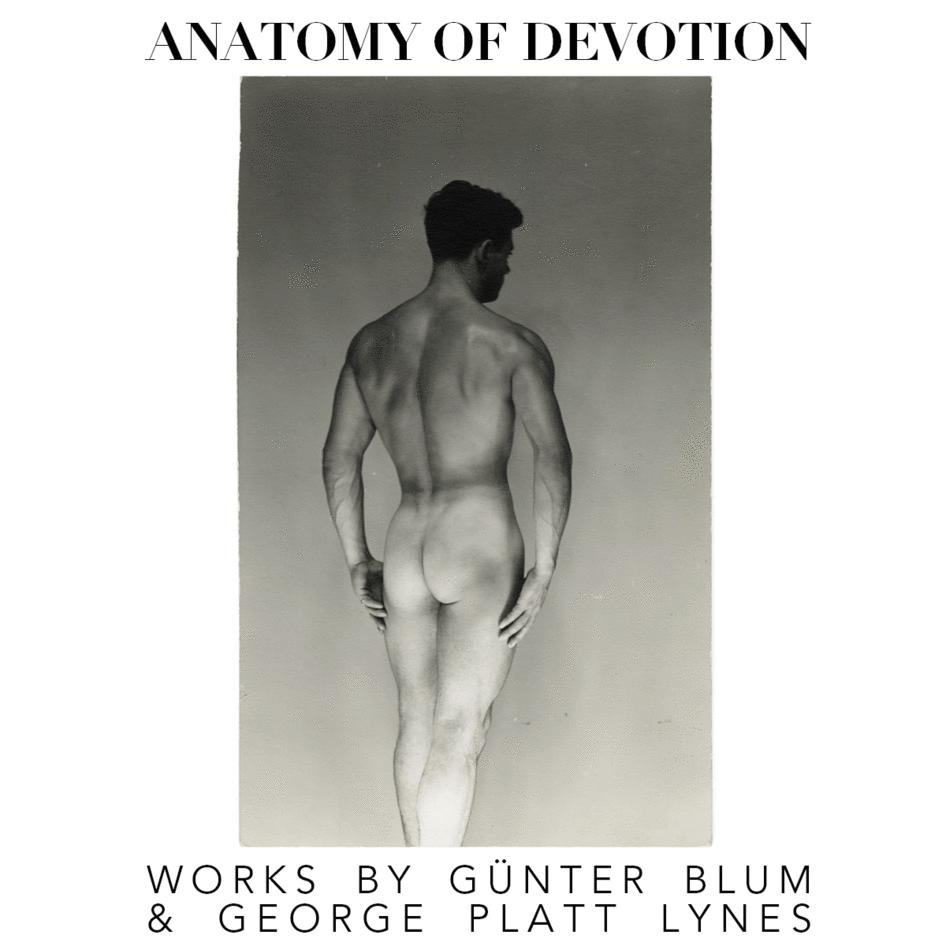 Anatomy of Devotion