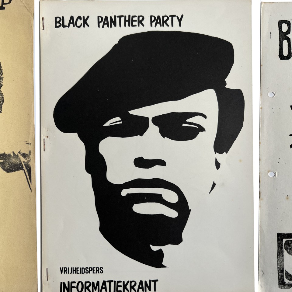 Diskussiemap Vrijheids School, Black Panther Party, Black Panther Solidarity