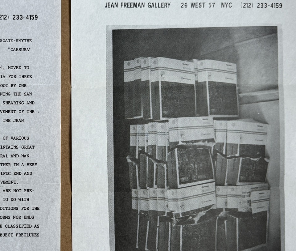 Jean Freeman Gallery Avery Willsgate-Smythe “Caesura”, Alternate Projects