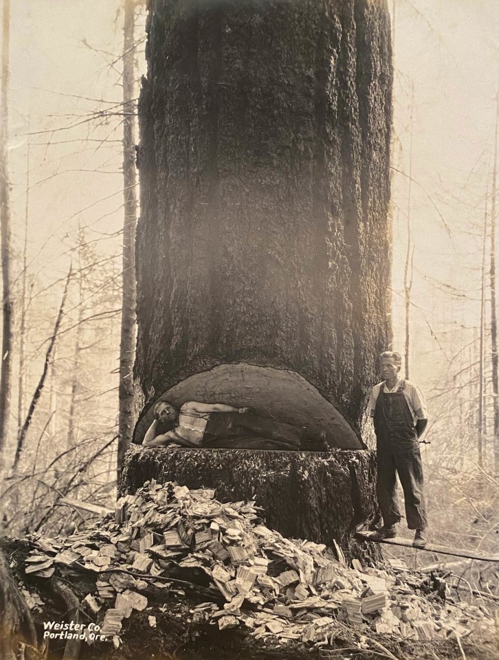 OREGON PACIFIC COAST LOGGING VIEWS GEO WEISTER PHOTO ALBUM