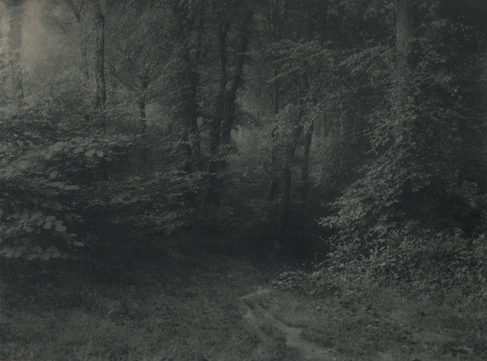 26. L&eacute;onard Misonne, Untitled, n.d. Dark, wooded path. Gray/green-toned print.