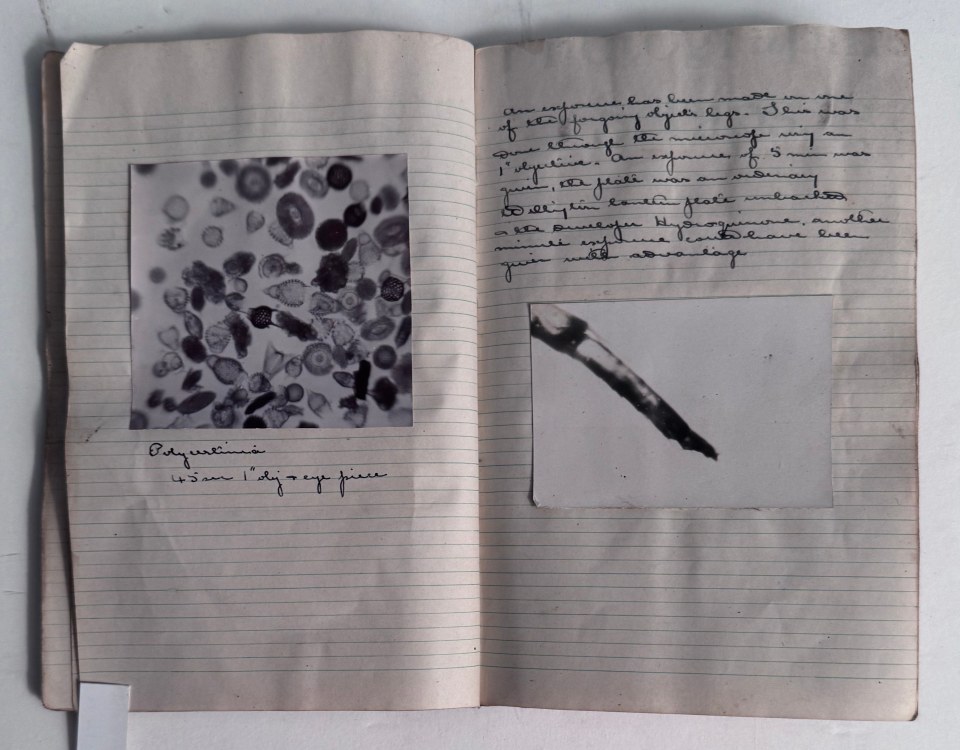 SOME PERSONAL PAPERS OF ALFRED WARD, R.N. INCLUDING HIS 1910 ALBUM OF MICROPHOTOGRAPHY, DIARIES WITH PHOTOS AND RELATED EPHEMERA