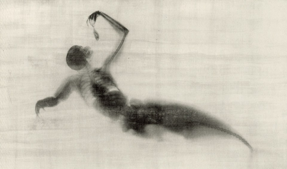 BENEDETTA BONICHI