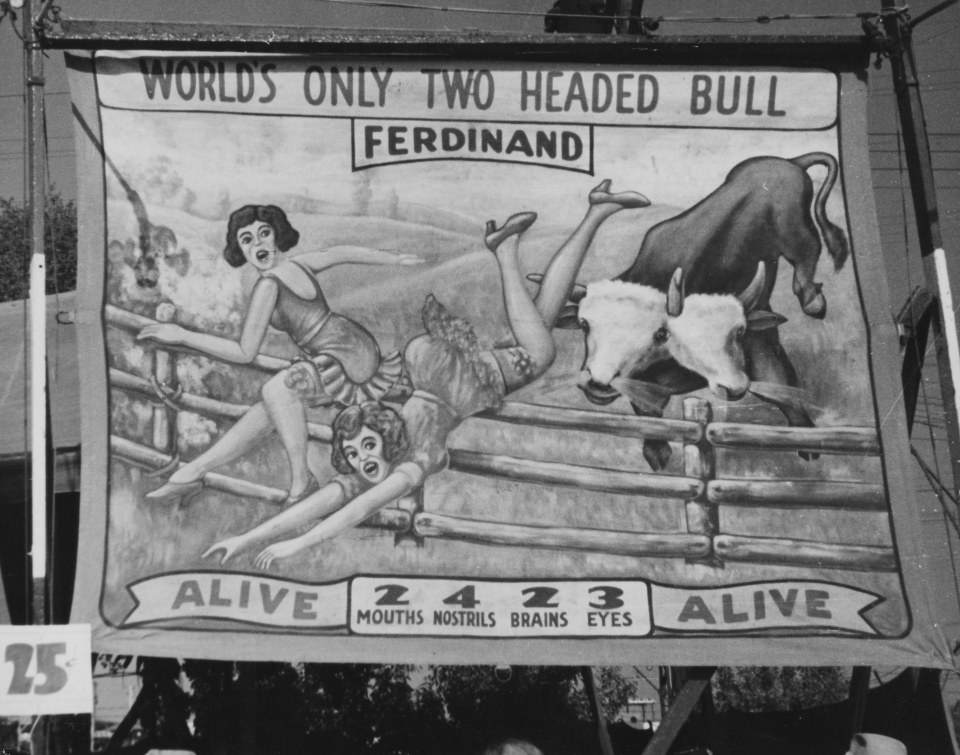 33. Fritz W. Neugass (German, 1899-1979),&nbsp;Sideshow Banner - &ldquo;World&rsquo;s Only Two Headed Bull - Ferdinand&rdquo;,&nbsp;c. 1940s, Vintage Gelatin Silver Print, 10.5&rdquo; x 13.5&rdquo;