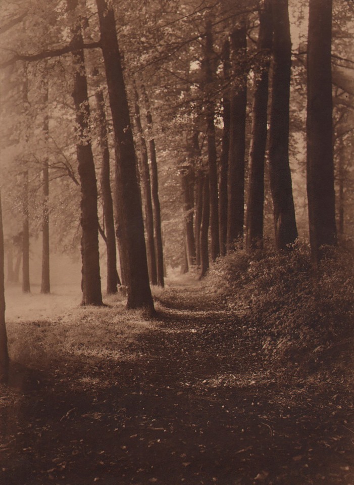 30. L&eacute;onard Misonne, Untitled, c. 1930. Wooded dirt path receding away from the viewer. Sepia-toned print.