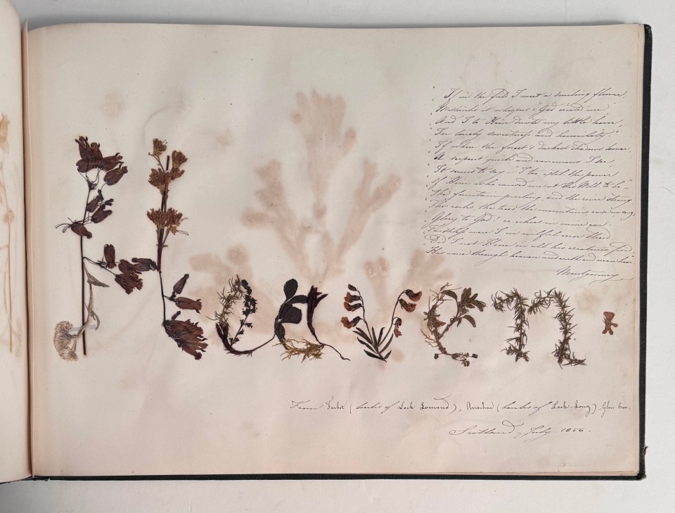 HERBIER ALBUM OF PRESSED FLOWERS